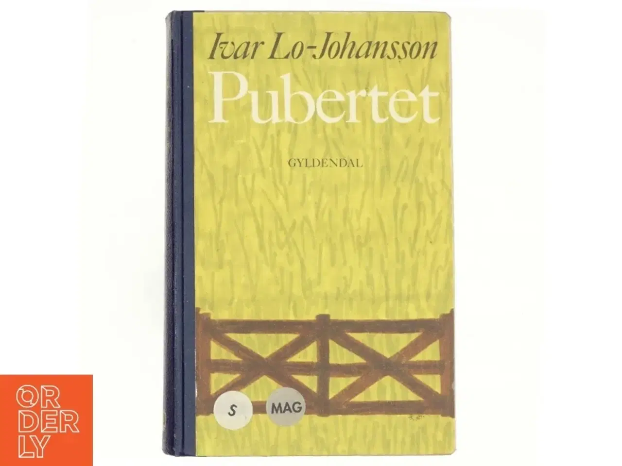 Billede 1 - Pubertet af Ivar Lo-Johansen