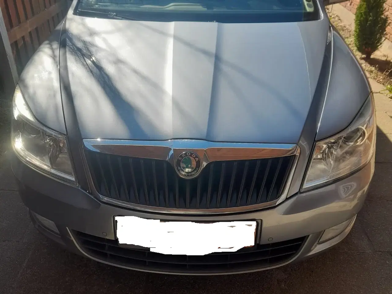 Billede 1 - skoda octavia