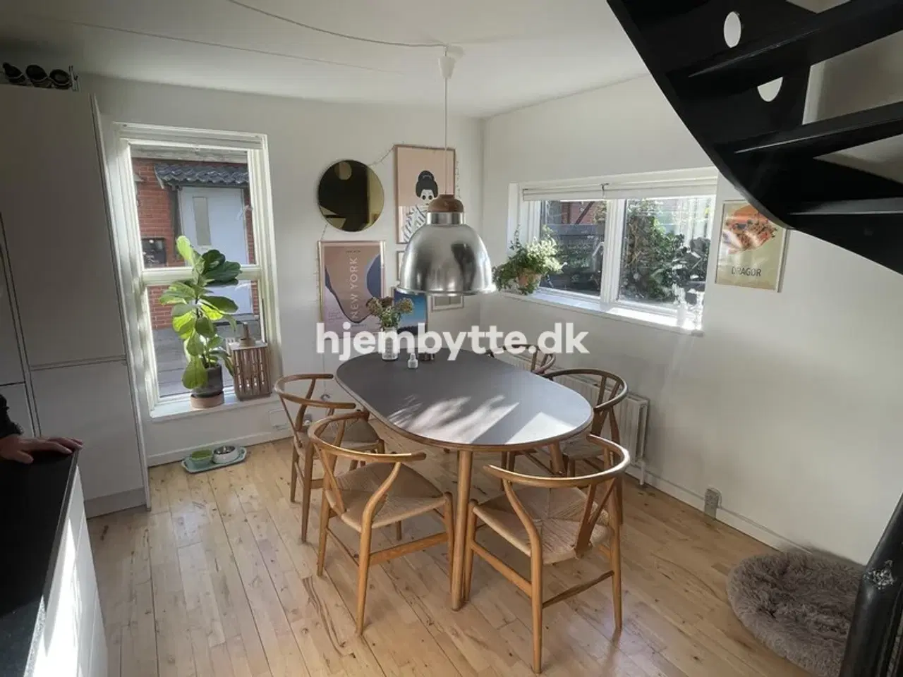 Billede 4 - Hjembytte - Rødtjørnen