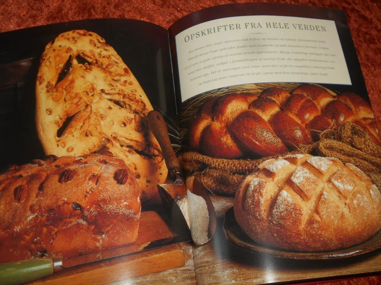 Billede 2 - Kokkens bog om brød, Jennie Chapter, Christine Ing