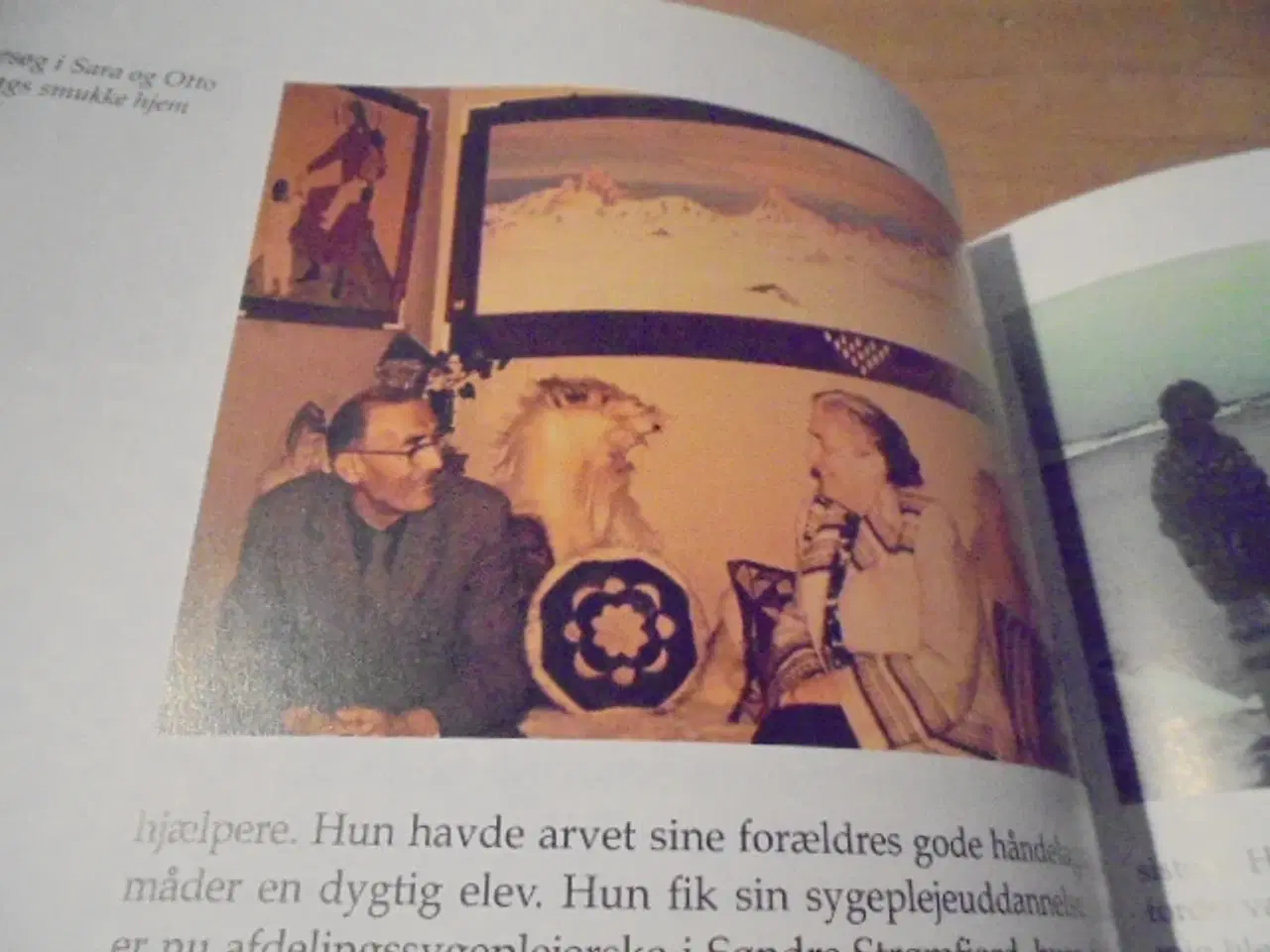 Billede 9 - Øst, vest – Grønland bedst