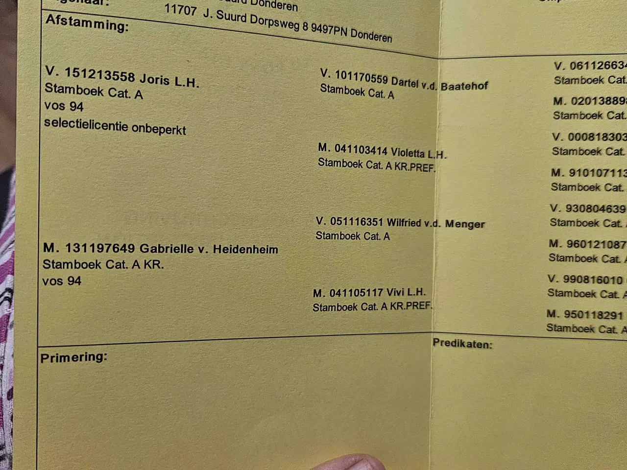 Billede 8 - 2 unikke drenge med fuld tavle 