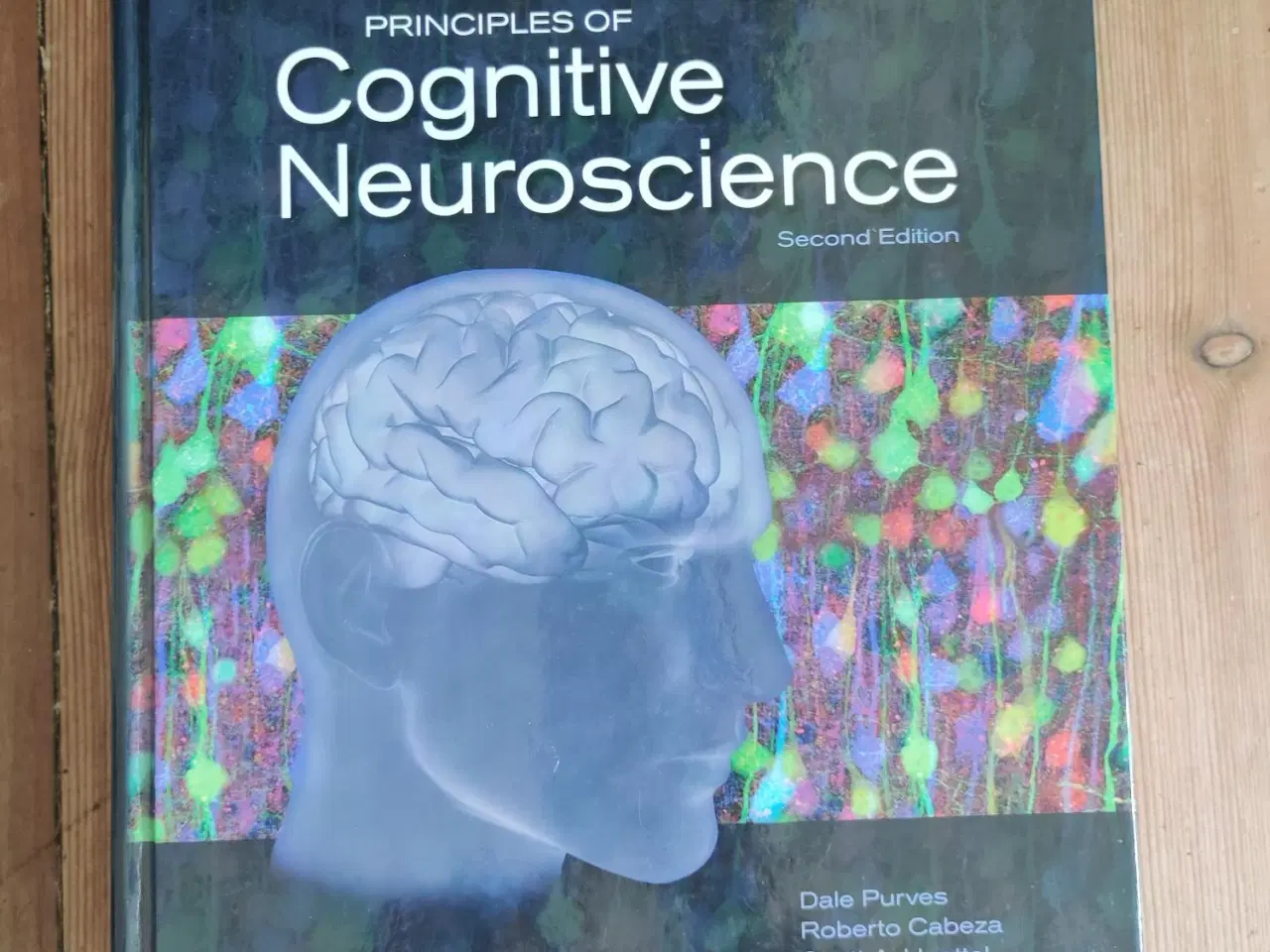 Billede 1 - Principles of Cognitive Neuroscience