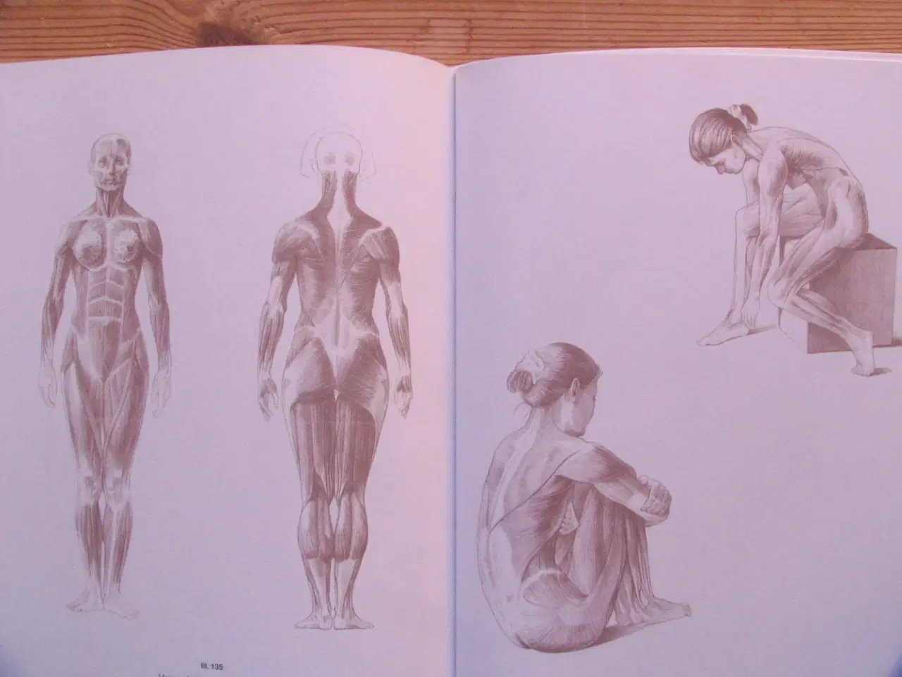 Billede 6 - Anatomisk tegnelære Menneske