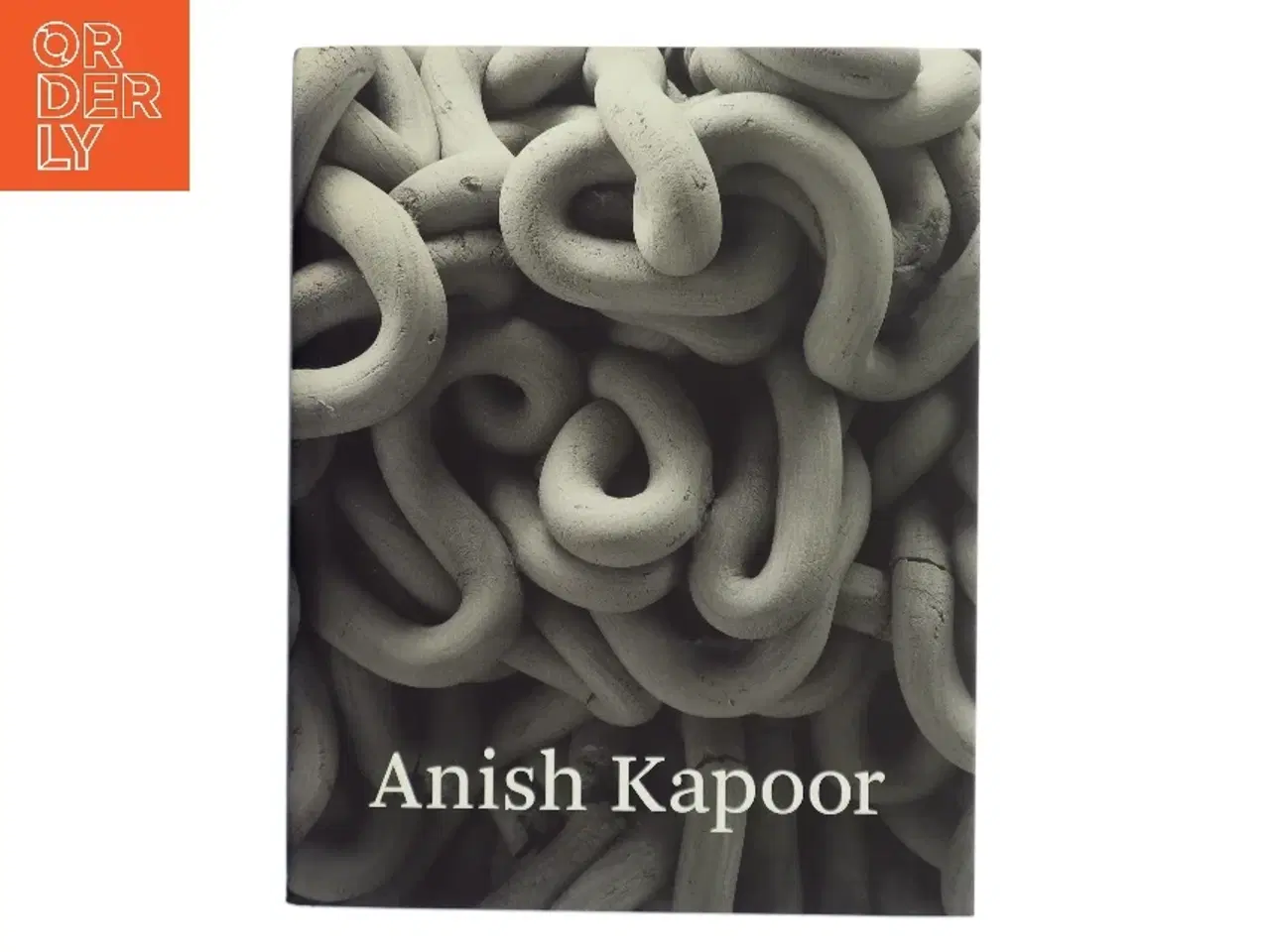 Billede 1 - Anish Kapoor af Anish Kapoor (Bog)