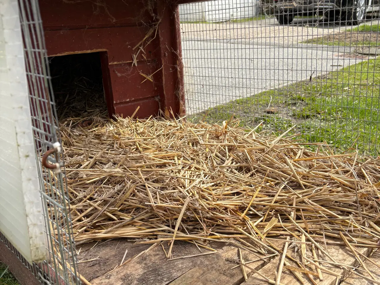 Billede 3 - Hjemmelavet Kaninbur