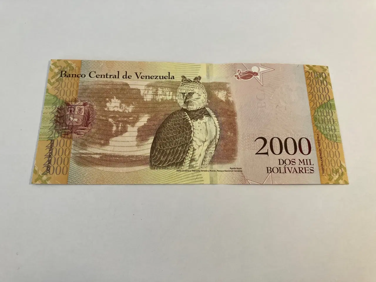 Billede 2 - 2000 Bolivares Venezuela