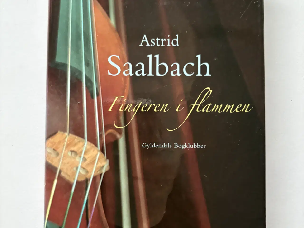 Billede 1 - Fingeren i flammen