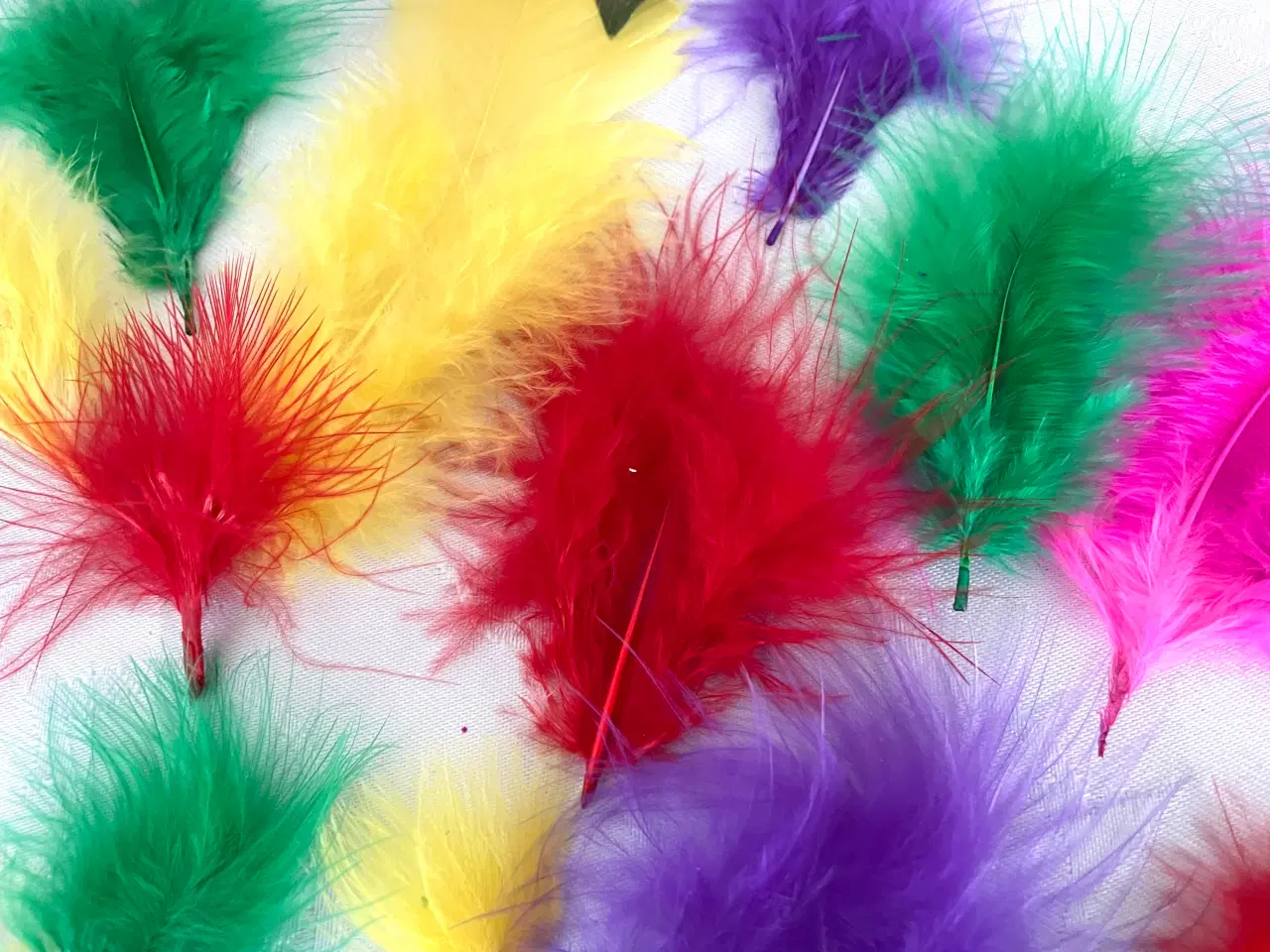 Billede 4 - Blandet fjer 