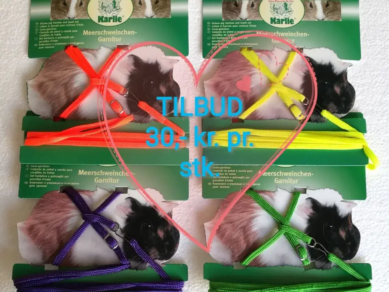 Billede 1 - Marsvin Seler.