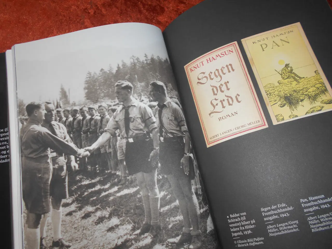 Billede 2 - Knut Hamsun - rejsen til Hitler, Tore Rem,