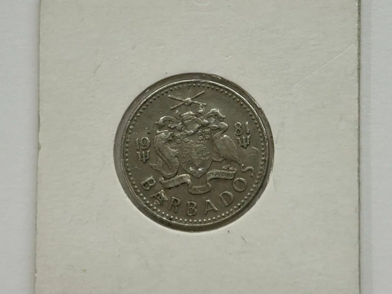 Billede 1 - 25 Cents Barbados 1981