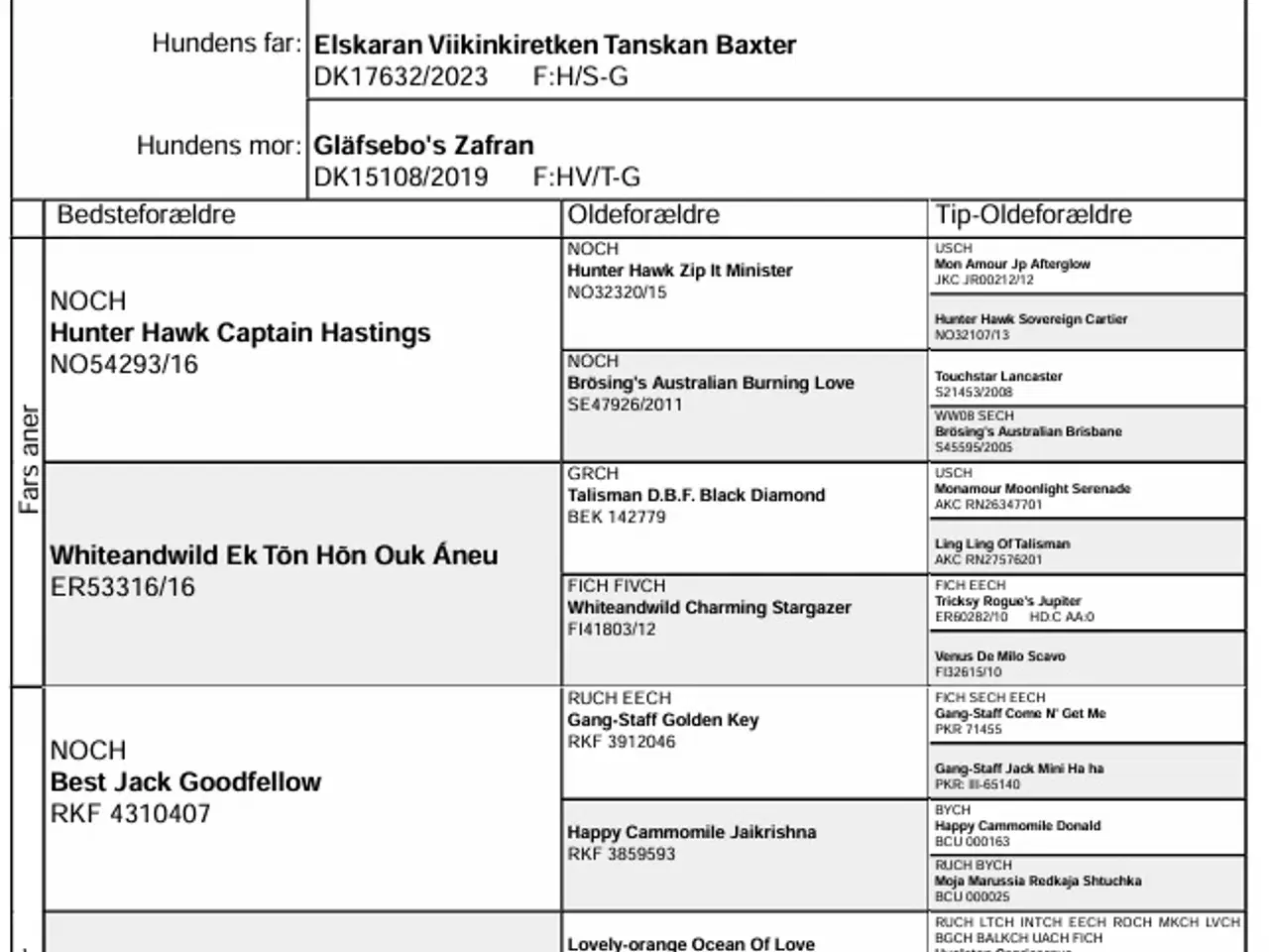 Billede 5 - Jack Russell Terrier hvalpe 8 uger 1-3-26