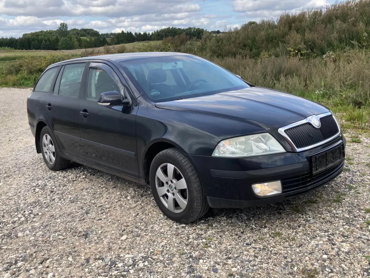 Billede 2 - Skoda Octavia DSG Gear