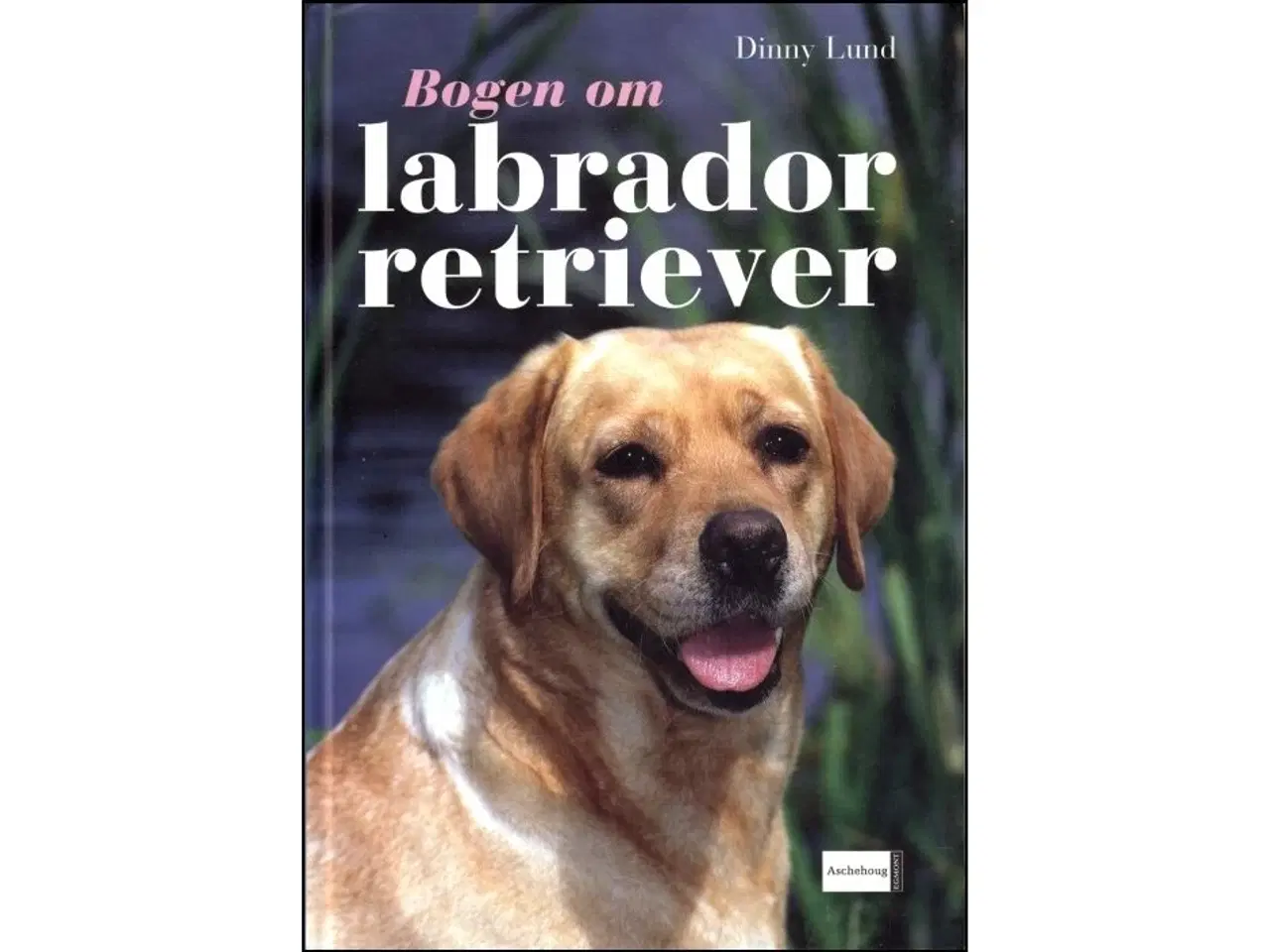 Billede 1 - Bogen om Labrador Retriever