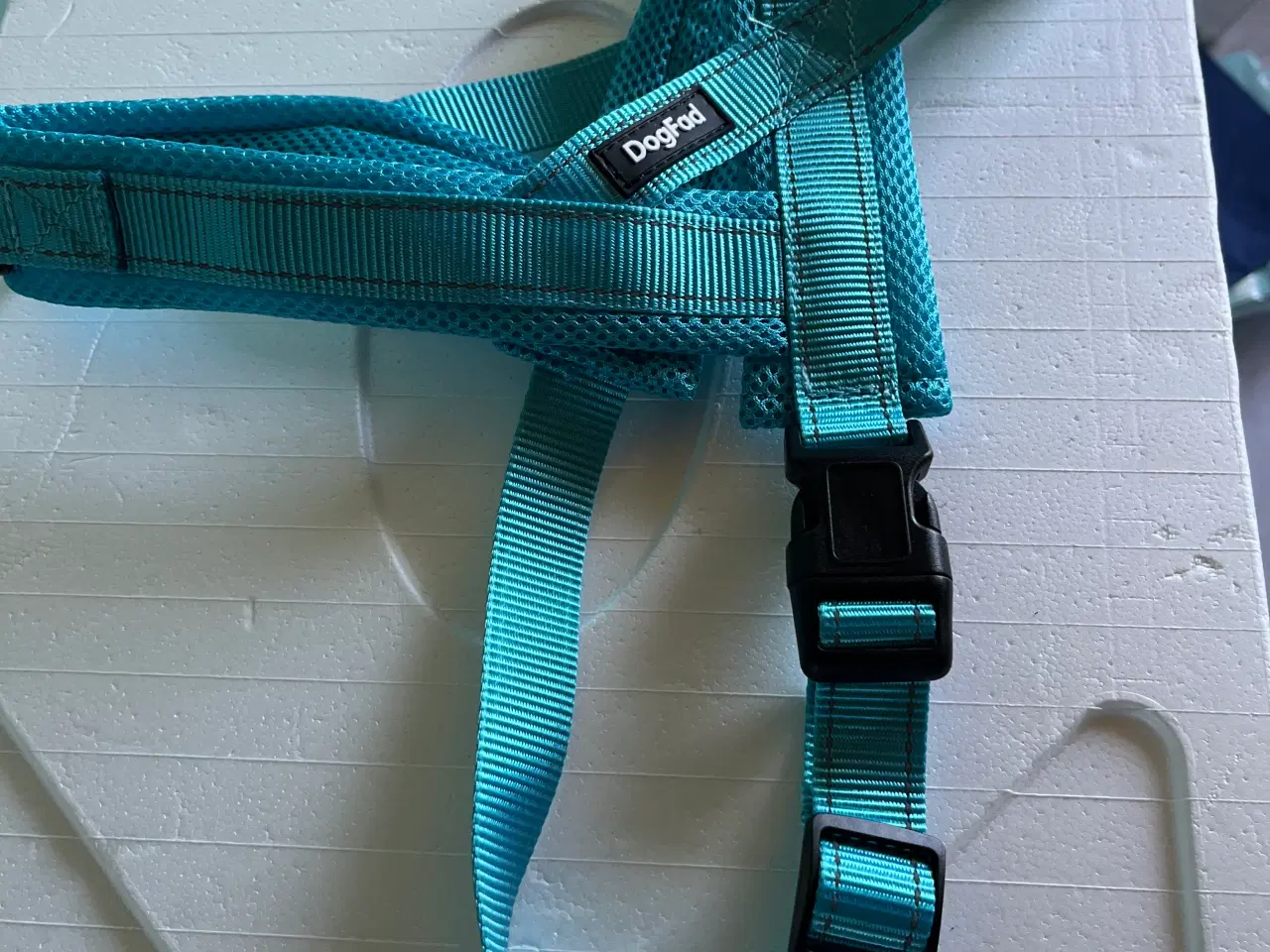 Billede 1 - Sele til bordercolli