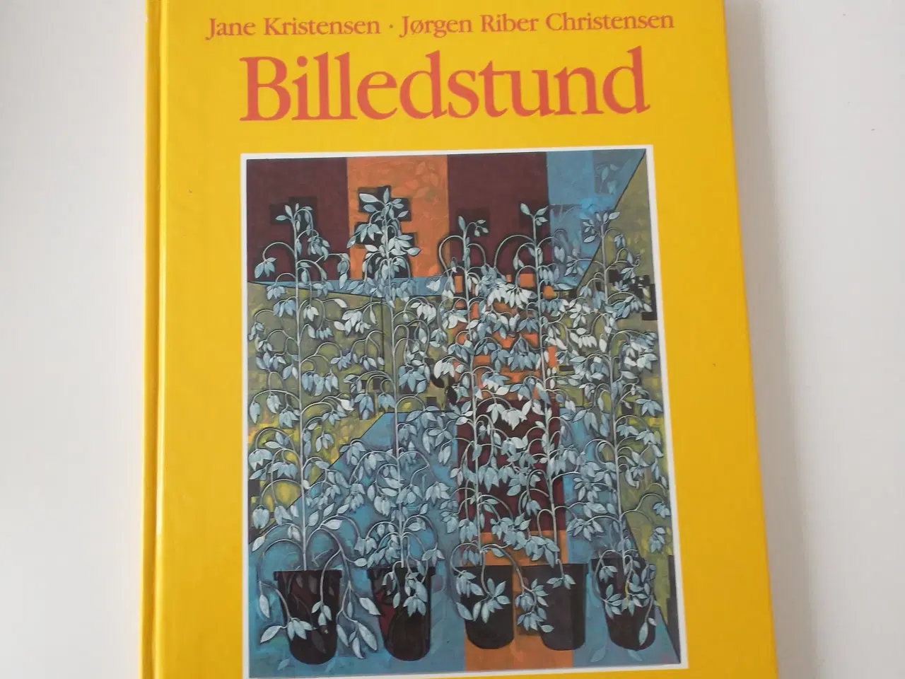 Billede 1 - Billedstund. Af Jane Kristensen, Jørgen R. Christe