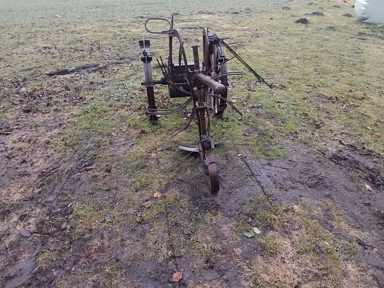 Billede 4 - Kartoffel frilægger 1 rækket