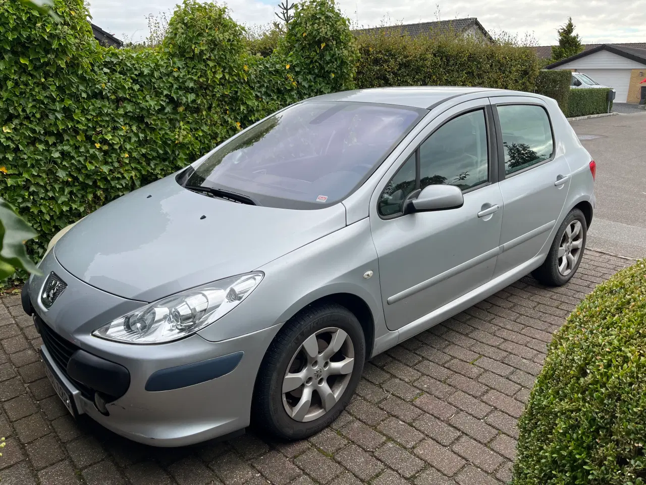 Billede 6 - Peugeot 307
