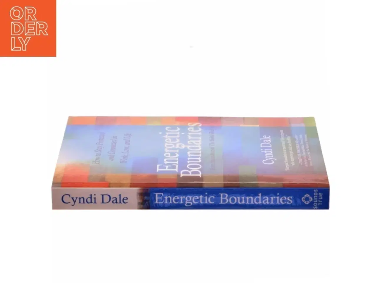 Billede 2 - Energetic Boundaries af Cyndi Dale (Bog)