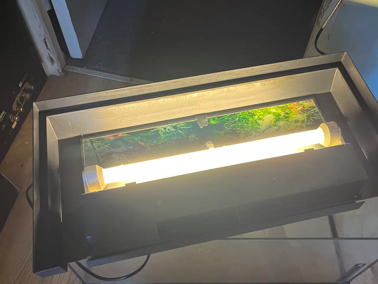 Billede 1 - Akvarie / terrarie