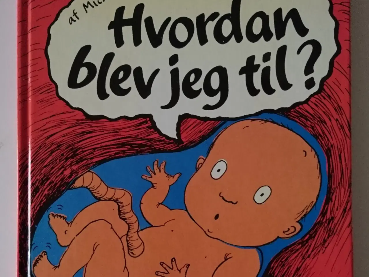 Billede 1 - Hvordan blev jeg til? Af Mick Manning