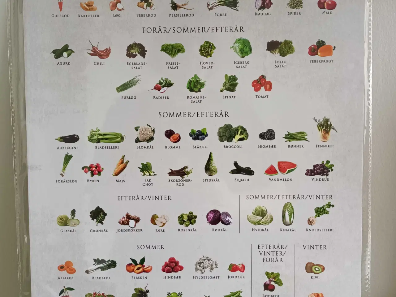 Billede 2 - Plakat ÅRSTIDERNES FRUGT OG GRØNT 