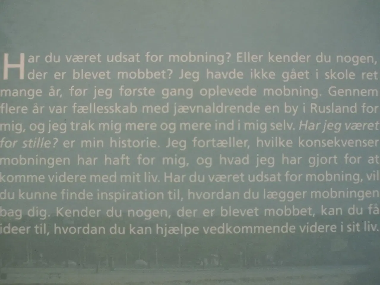 Billede 3 - har jeg været for stille - om at komme videre med 