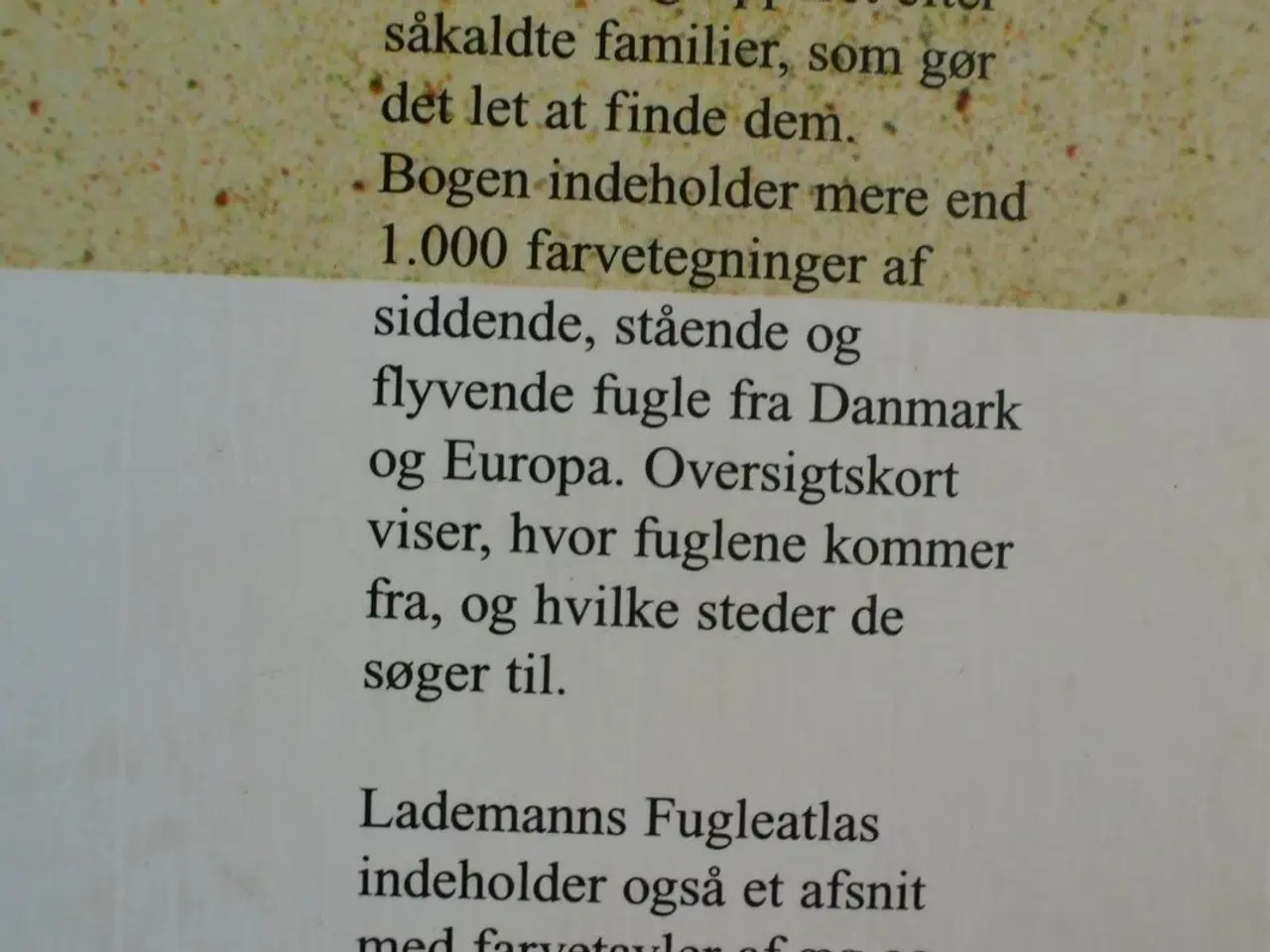 Billede 4 - lademanns fugleatlas, af hans skotte møller, emne: