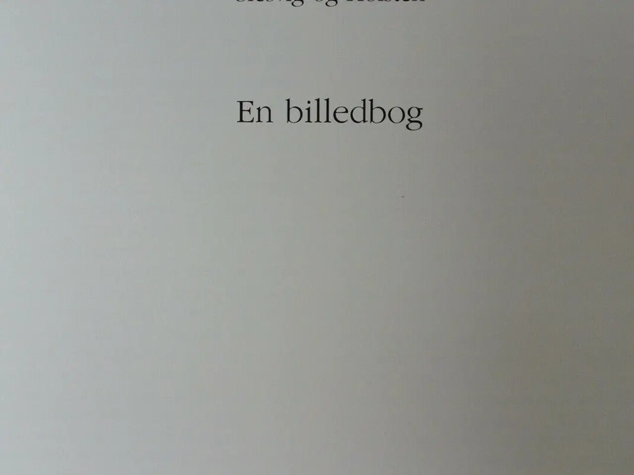 Billede 2 - kirkeskibe i danmark og de tidligere hertugdømmer 