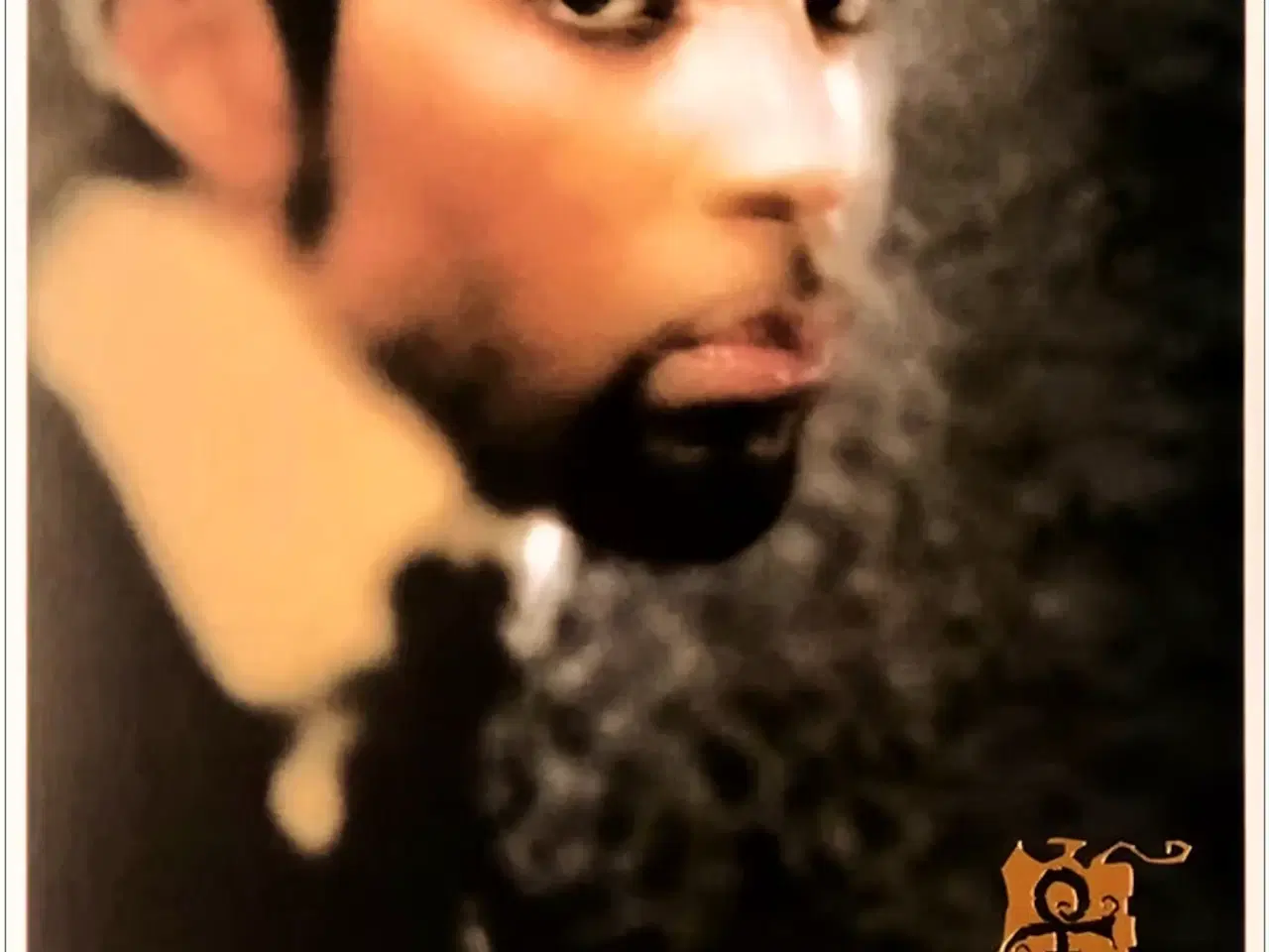 Billede 1 - The Artist (Formerly Known As Prince) – The Truth 
