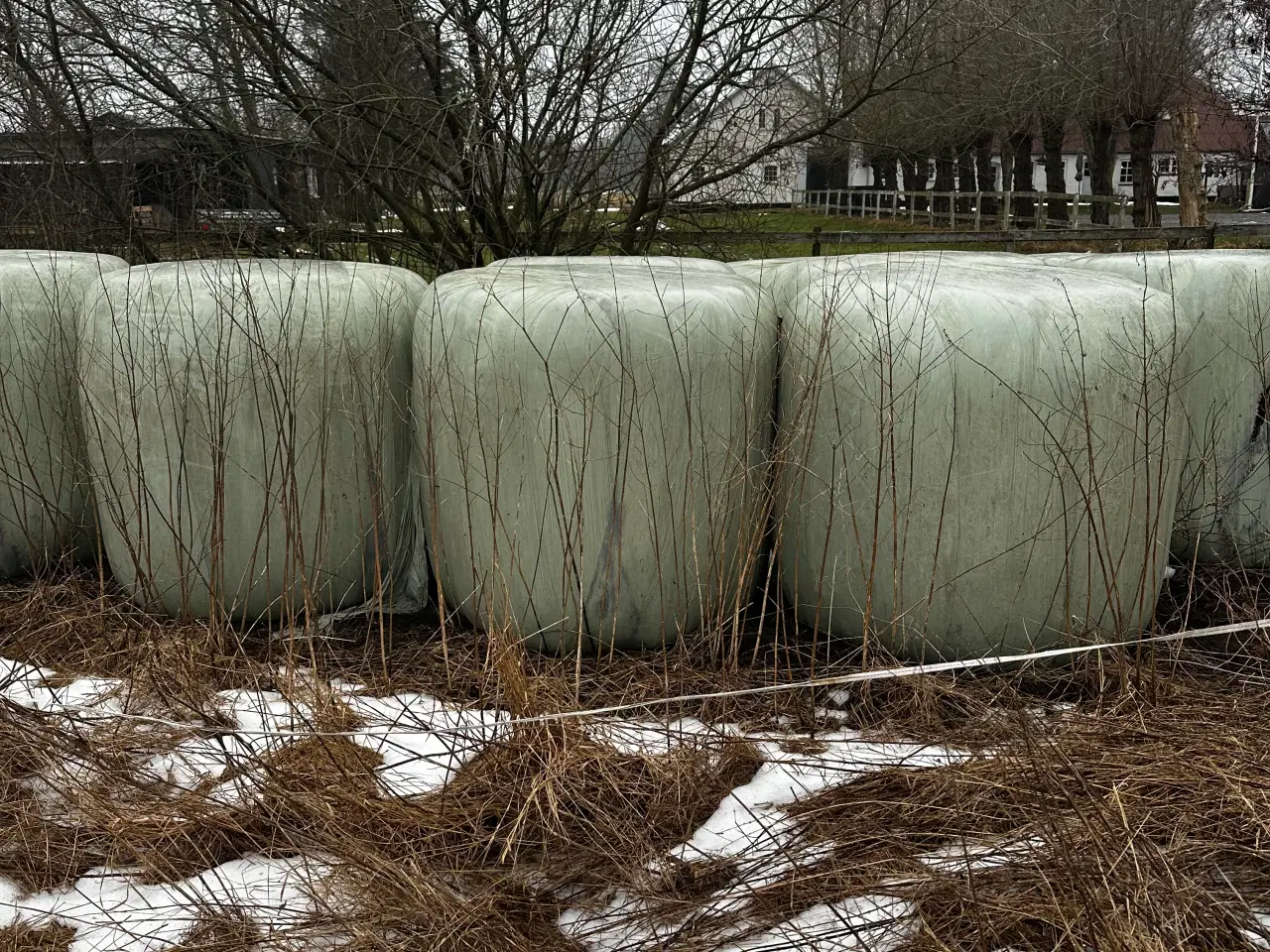 Billede 3 - Wrap hø. Slået og pakket slut juni 2024.Ø 130 cm