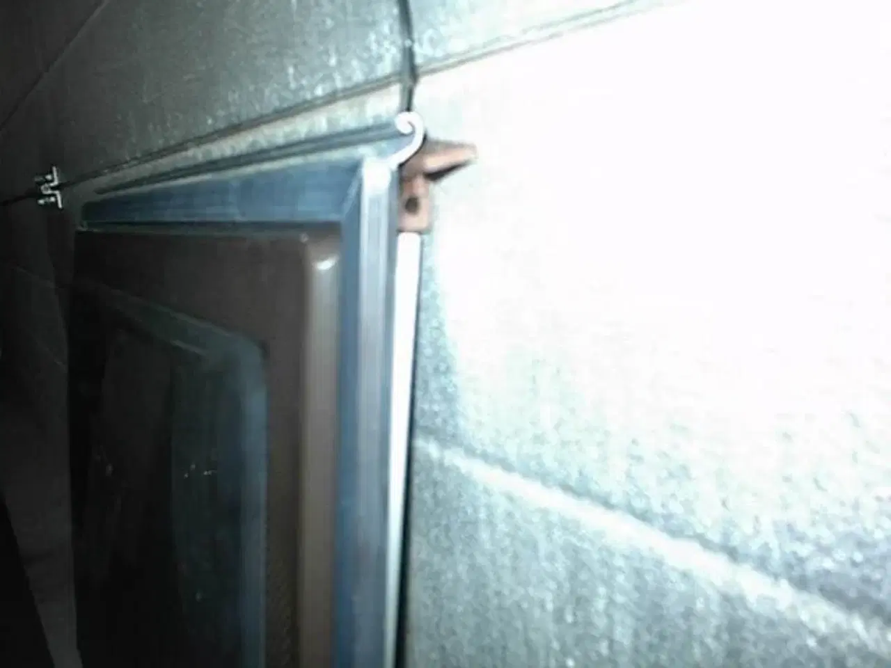 Billede 2 - Knaus Rude