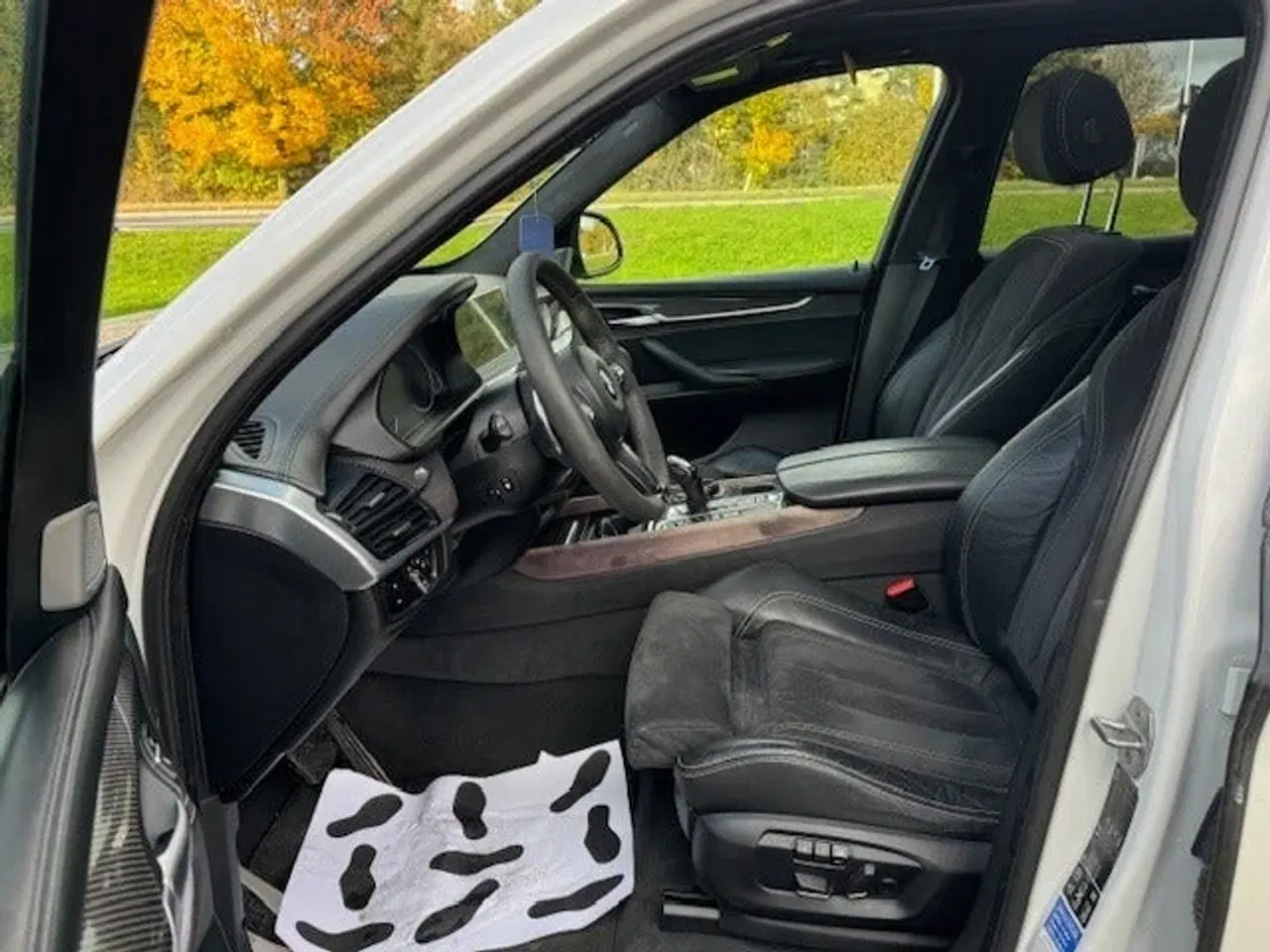 Billede 9 - BMW X5 3,0 M50d xDrive aut.