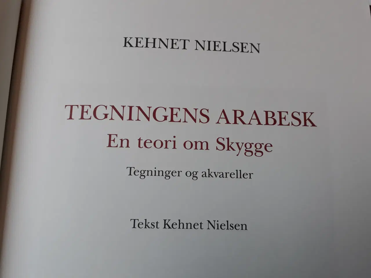 Billede 3 - Kehnet Nielsen - Tegningens arabesk