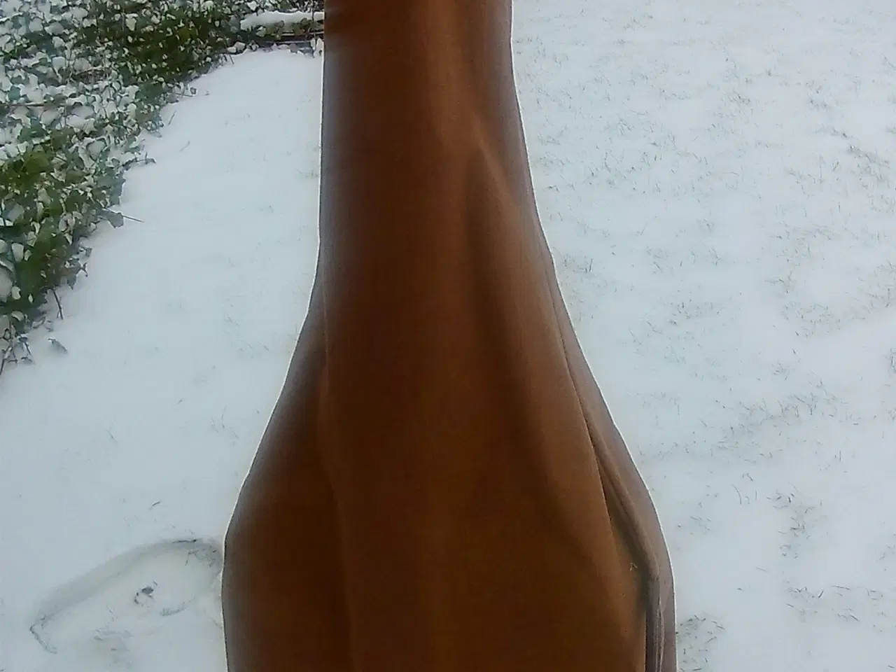 Billede 4 - Levin fra 1977` hige school