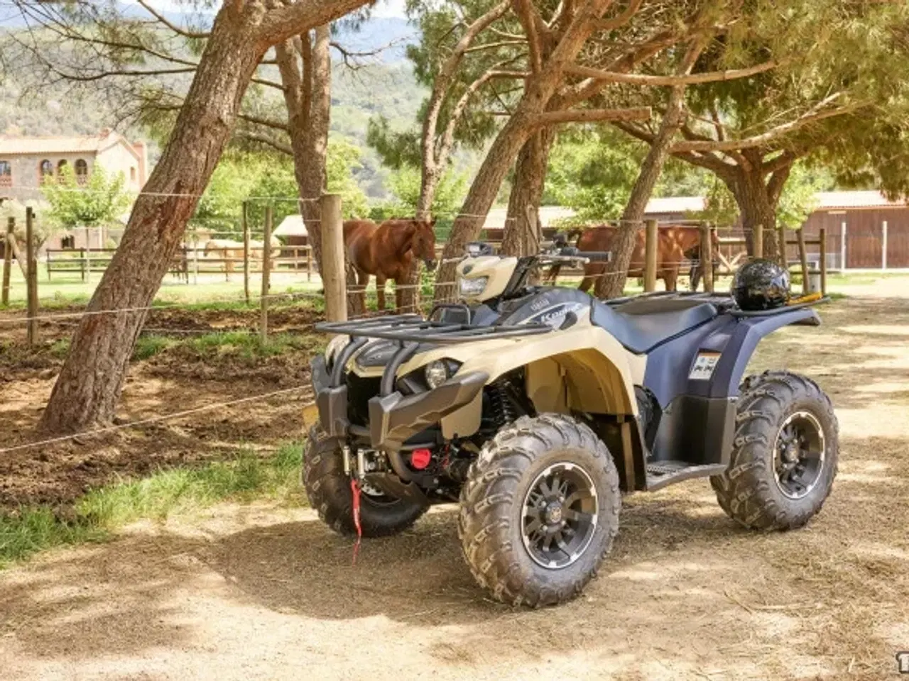 Billede 4 - Yamaha Kodiak 450 EPS SE