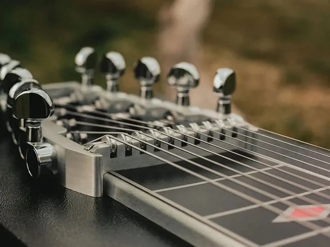 Billede 8 - Pedal Steel Guitar