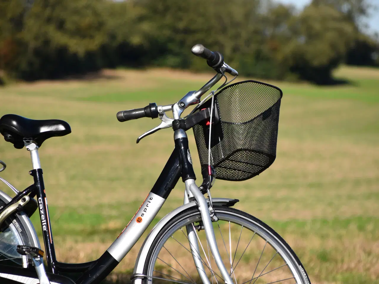 Billede 4 - Gazelle Esprit 7G 49CM