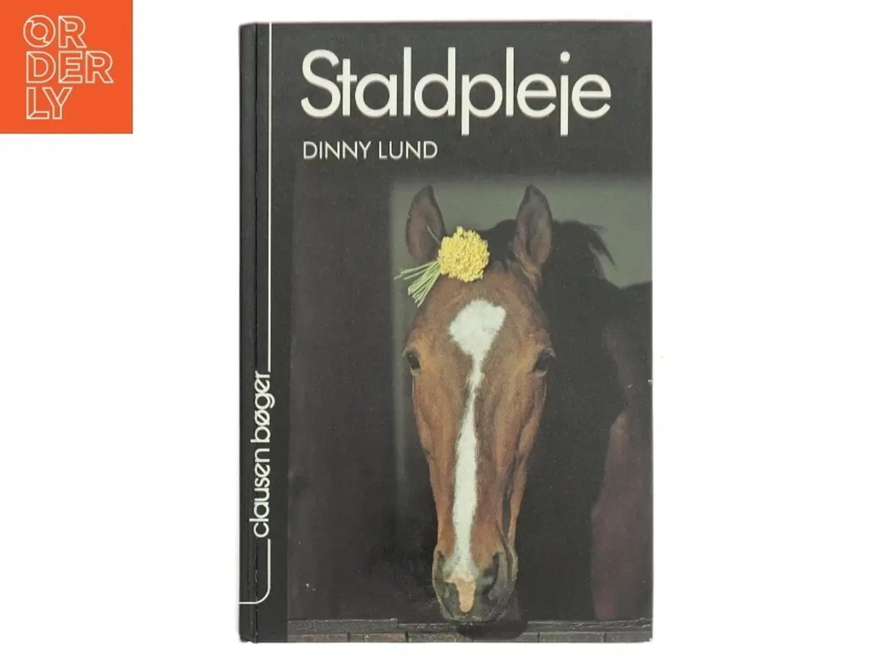 Billede 1 - Staldpleje af Dinny Lund (Bog)