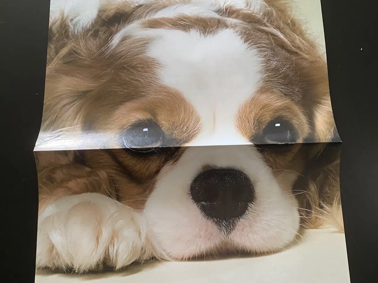 Billede 11 - To-sidet plakater fra 00’erne og 2010’erne, y2k