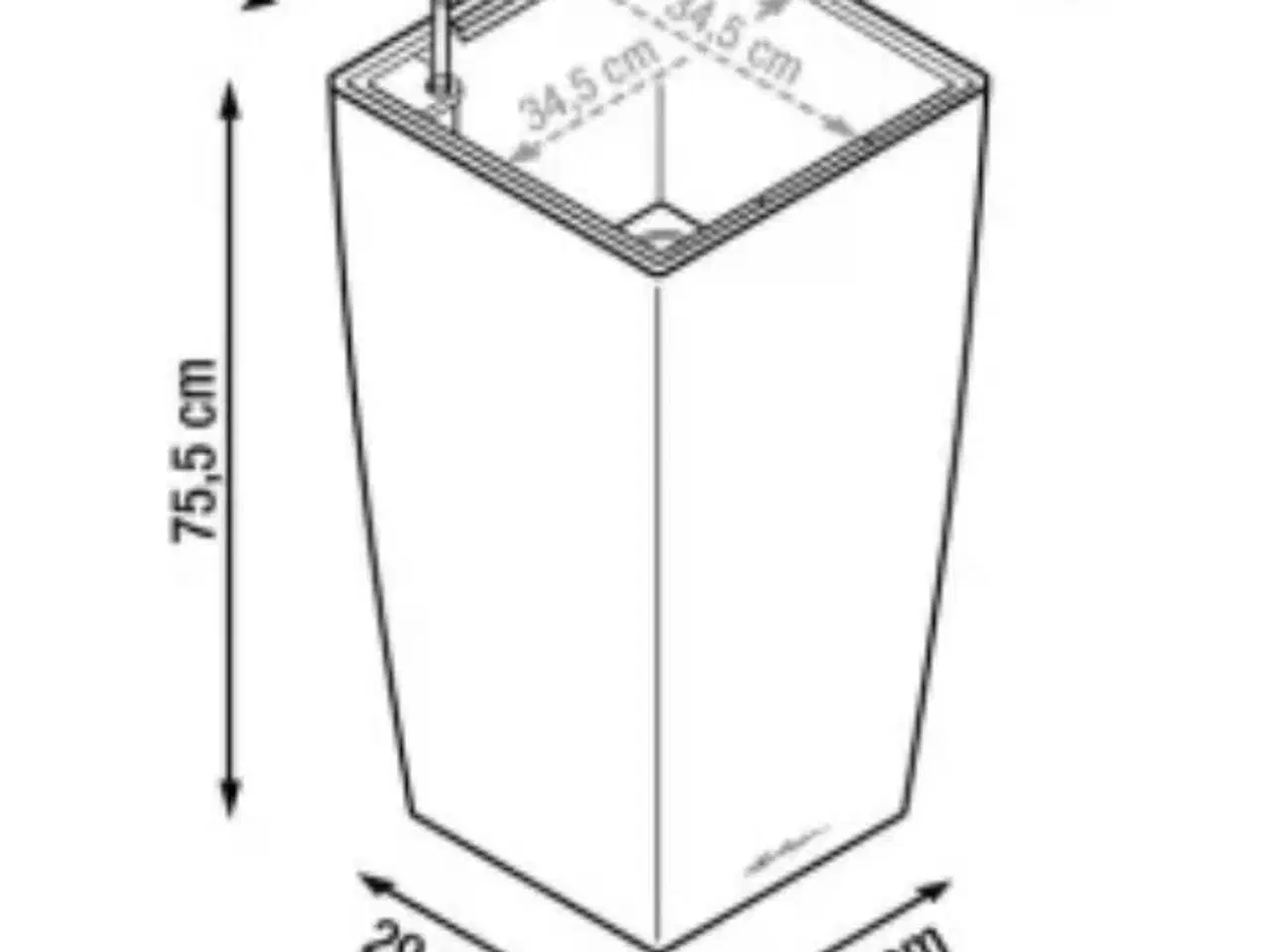 Billede 4 - Stor paradisfugl / Strelitzia Nicolai plante