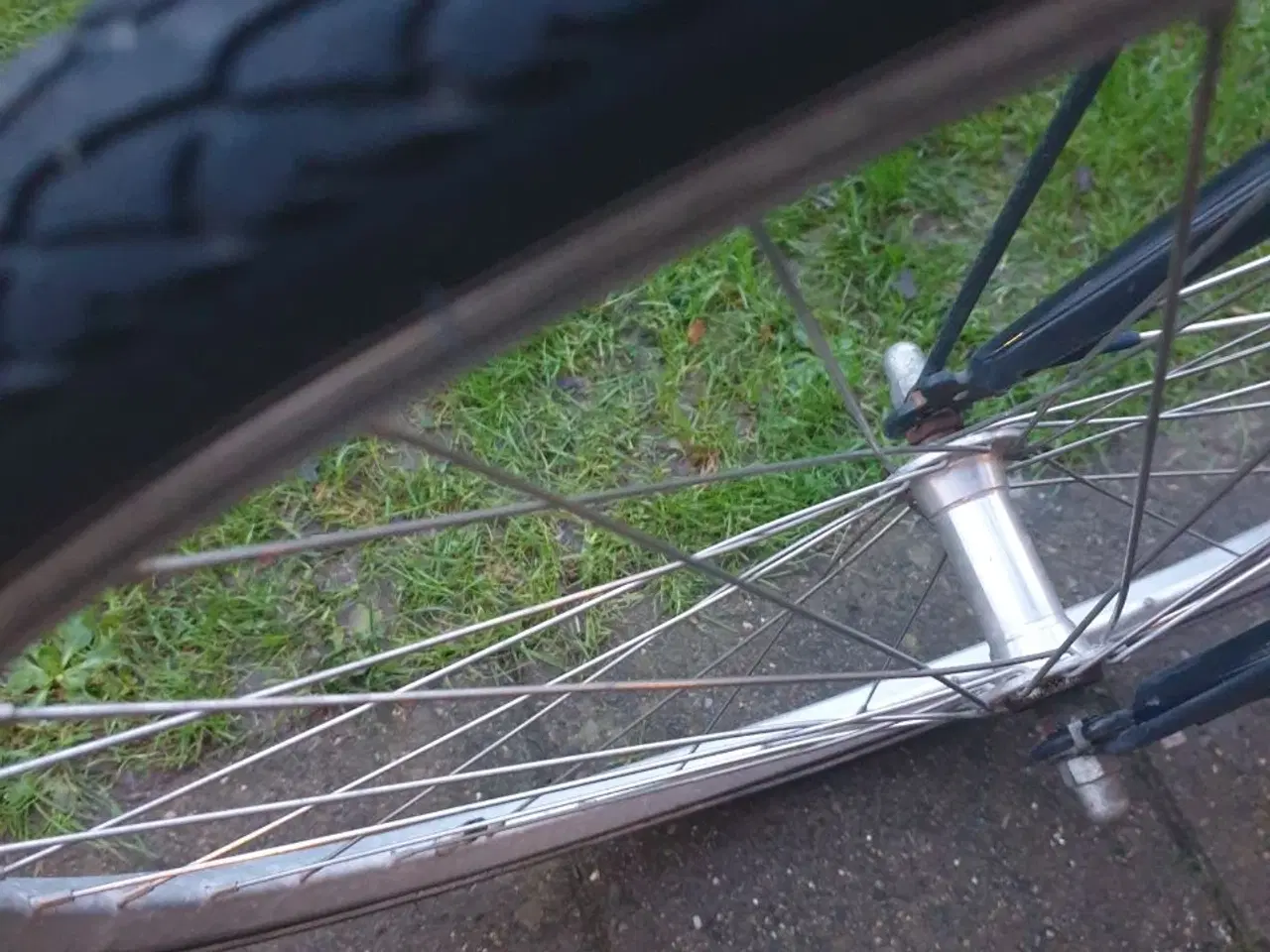 Billede 15 - SCO damecykel med kurv, 7 gear, stelstr. 52 cm