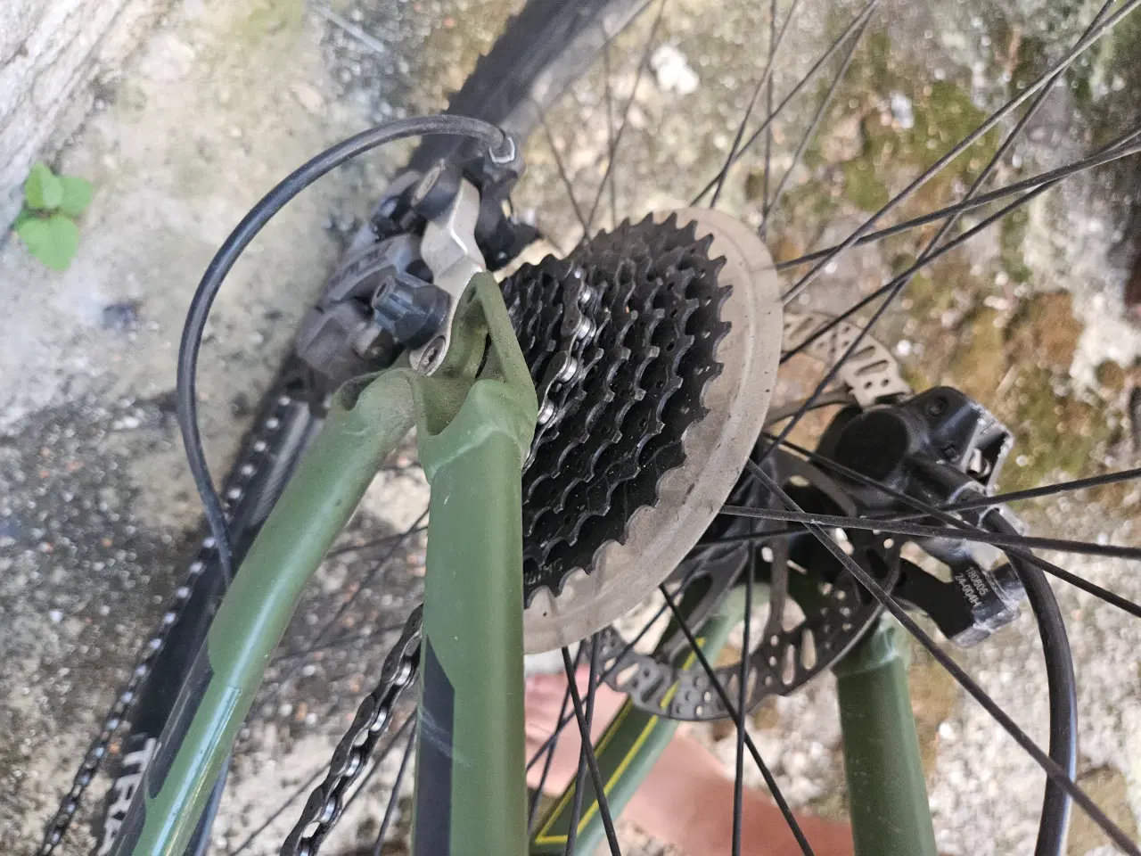 Billede 6 - SCO REBEL 29"