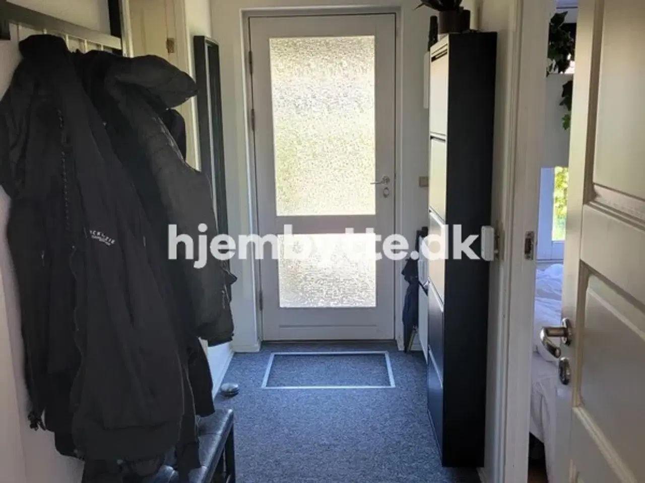 Billede 17 - Hjembytte - Enebærhegnet