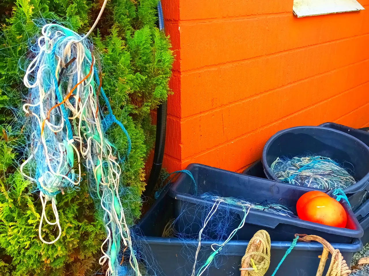 Billede 2 - rødspætte-fladfiske-silde garn- ankre m.m.