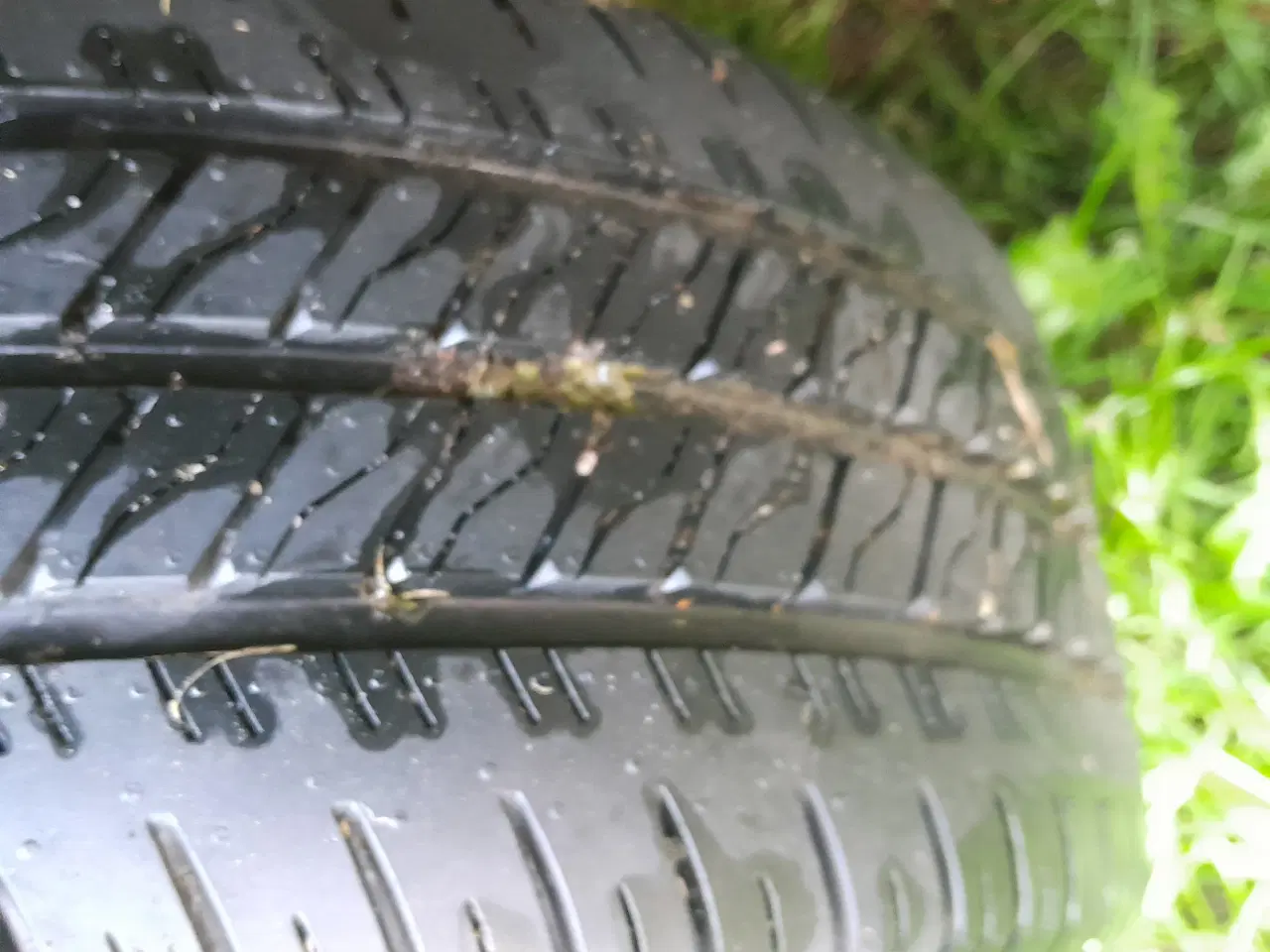 Billede 9 - Salgs- Scene- Entreprenør- Motorsport, Tivoli, M.m