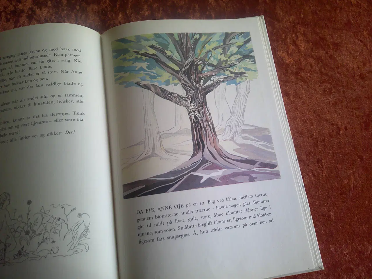 Billede 5 - Annes eventyr, Johan Borgen