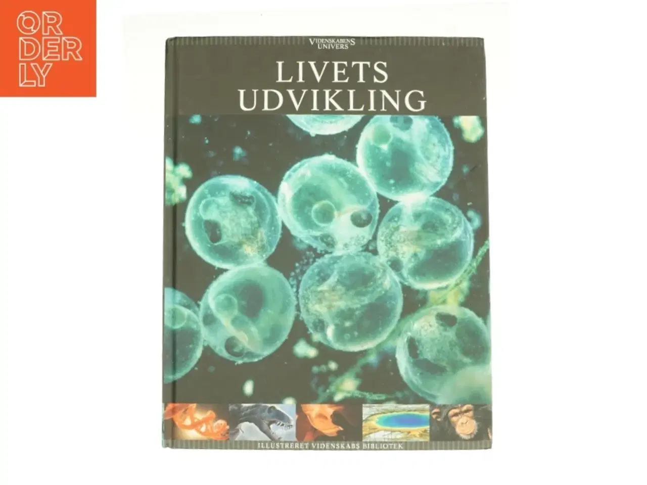 Billede 1 - Livets udvikling (Bog)