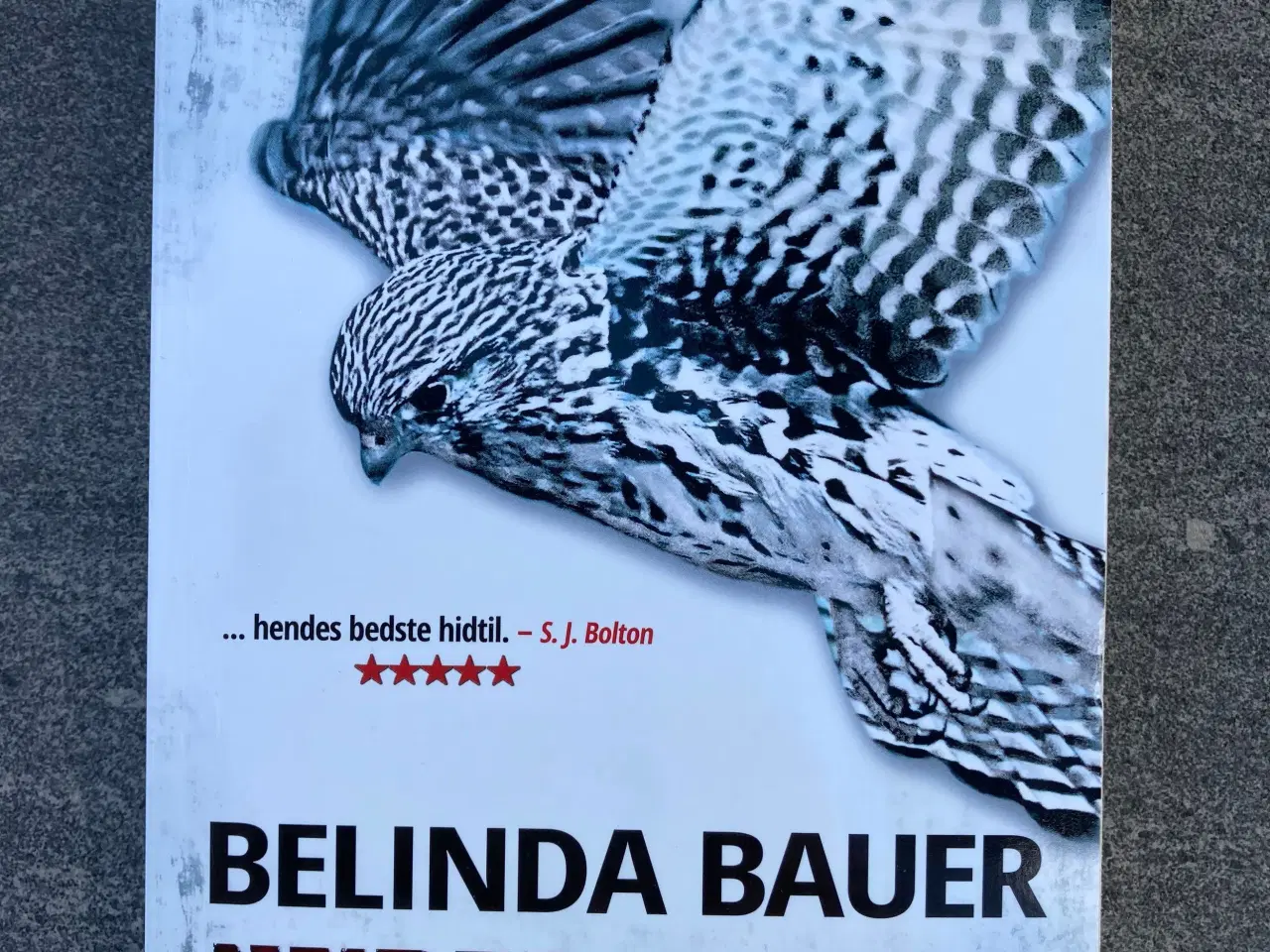 Billede 1 - Belinda Bauer, Under huden